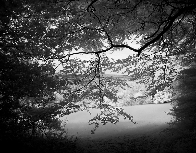 Looking Out - Slad Valley