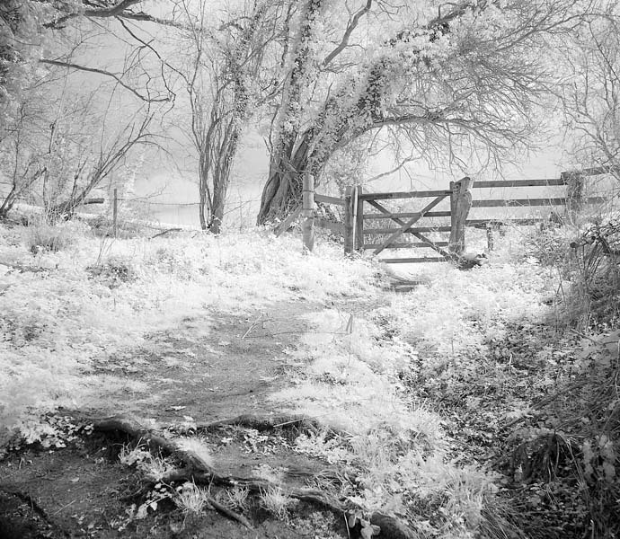 Hawkesbury  Walk - Countryside Walks