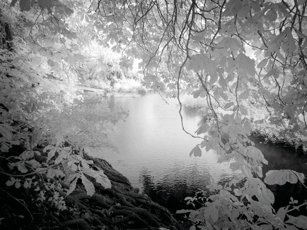 Thames Mist - Witshire