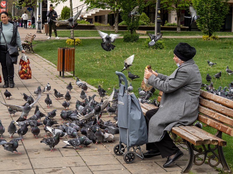 Sharing - Romania