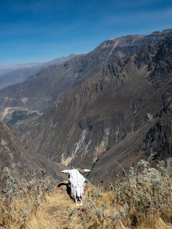 Colca Canyon 2 - Peru
