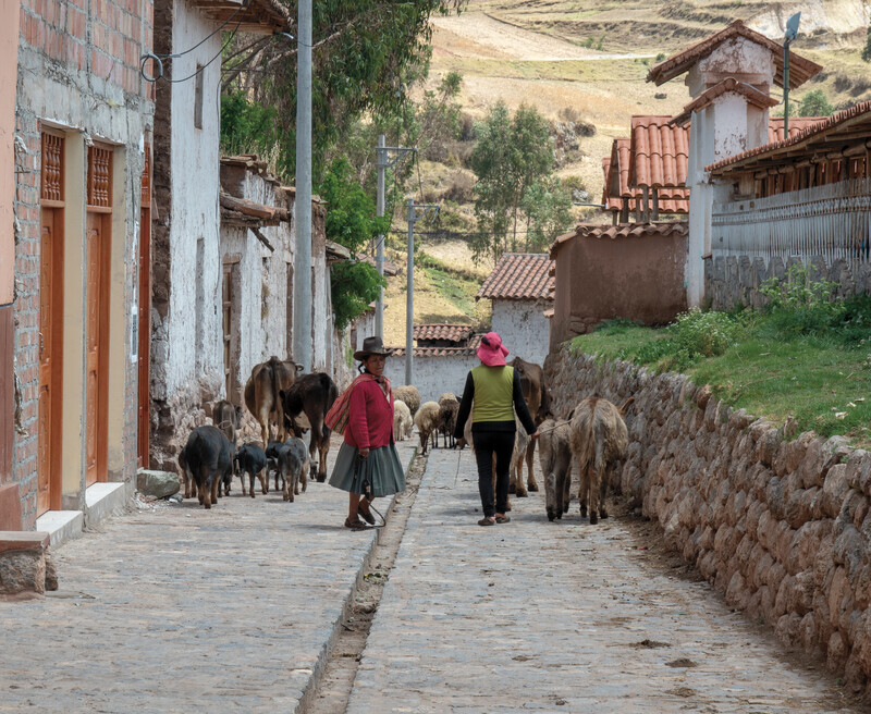 Working  Sacred Valley - Peru
