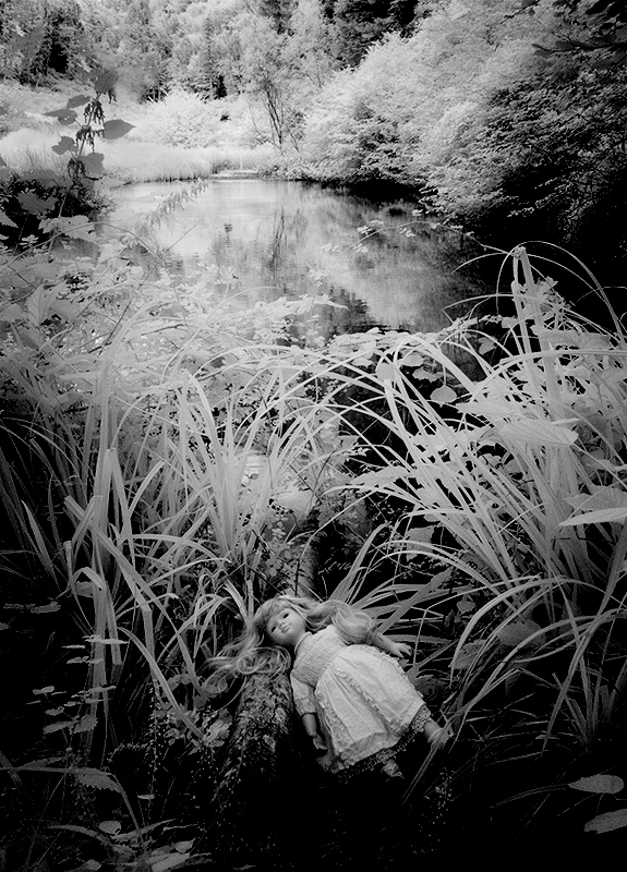 Finding Miss Flynn - Slad Valley