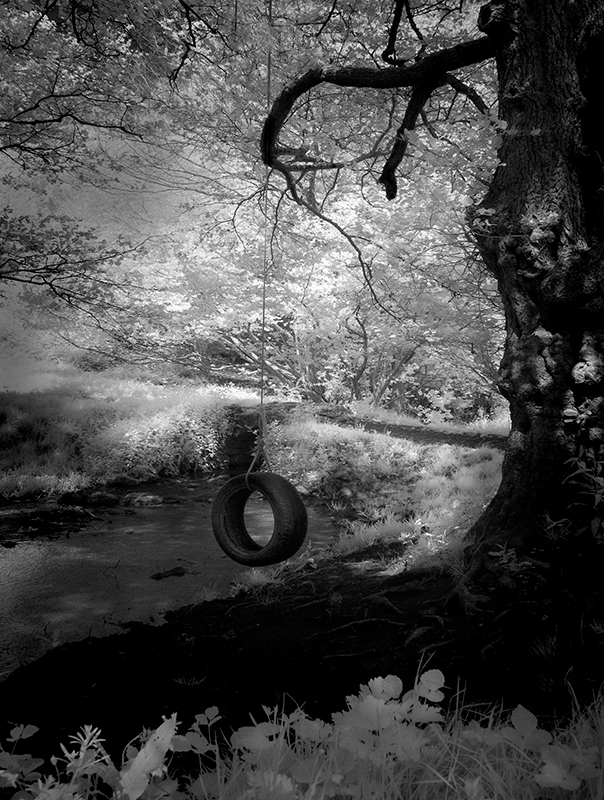 Swing - Slad Valley