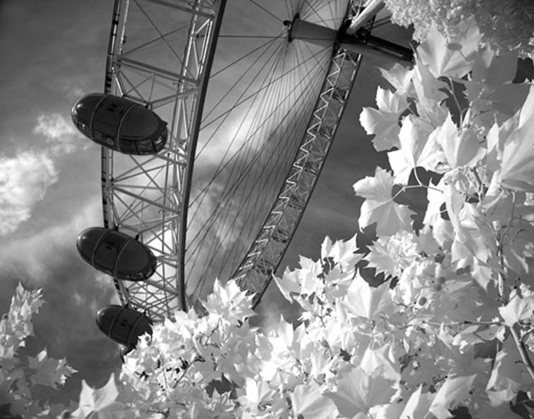 Impossibile Ride - Urban