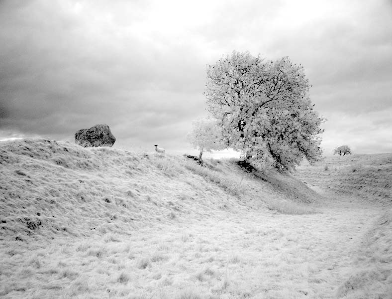 Avebury - Countryside Walks