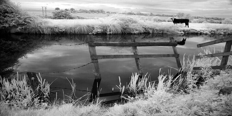 Hungerford 2 - Countryside Walks