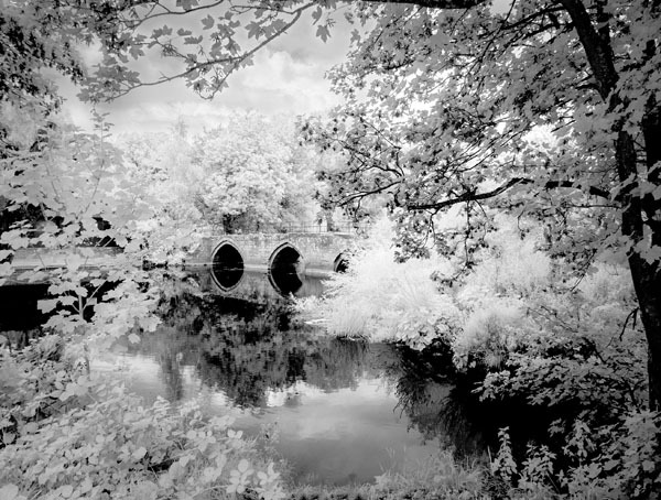 River Avon - Witshire