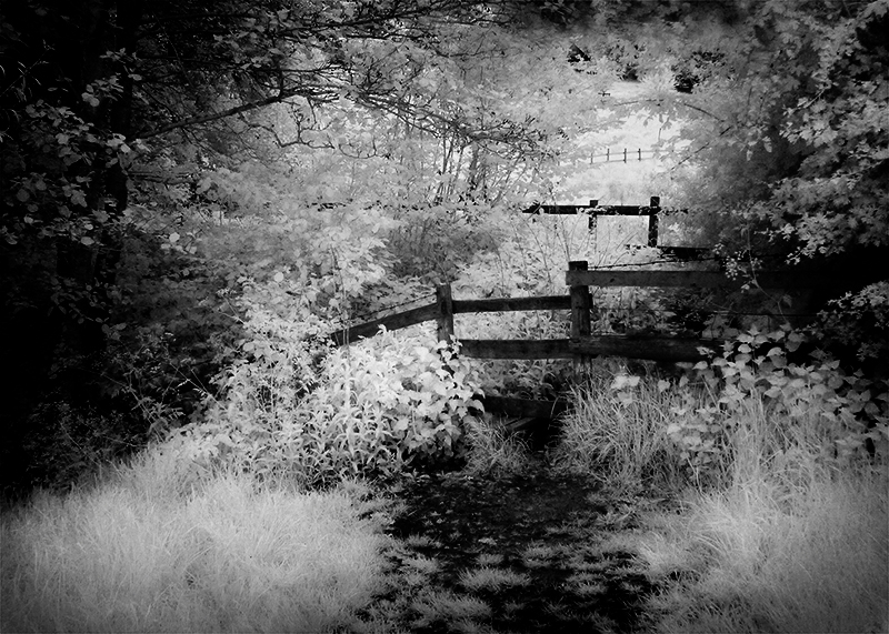 Going Out to Play - Slad Valley