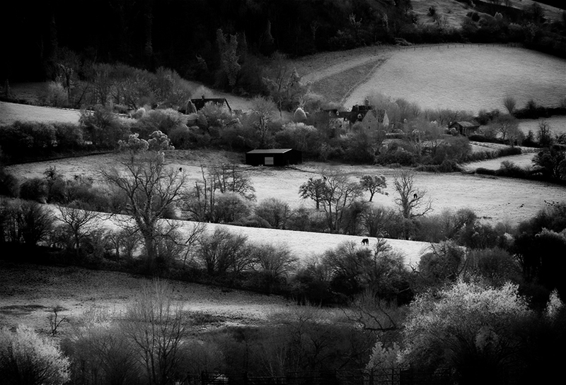 Slad Valley - Slad Valley
