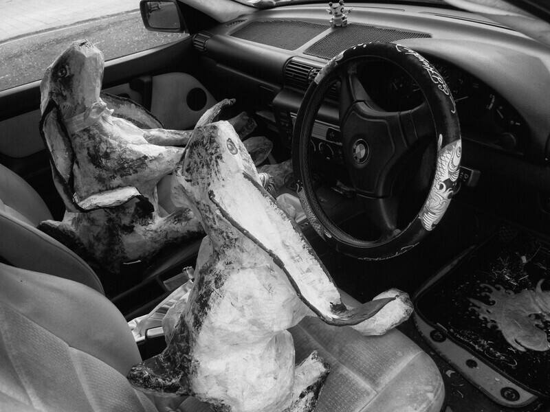 Hare we Go - Lighter Side