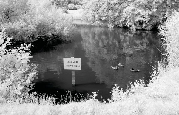 Corsham Pond - Witshire
