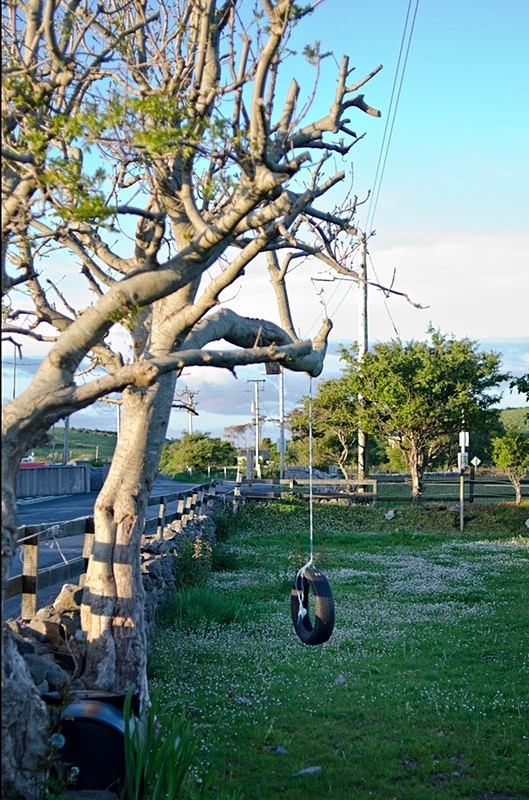  - Tyre Swings