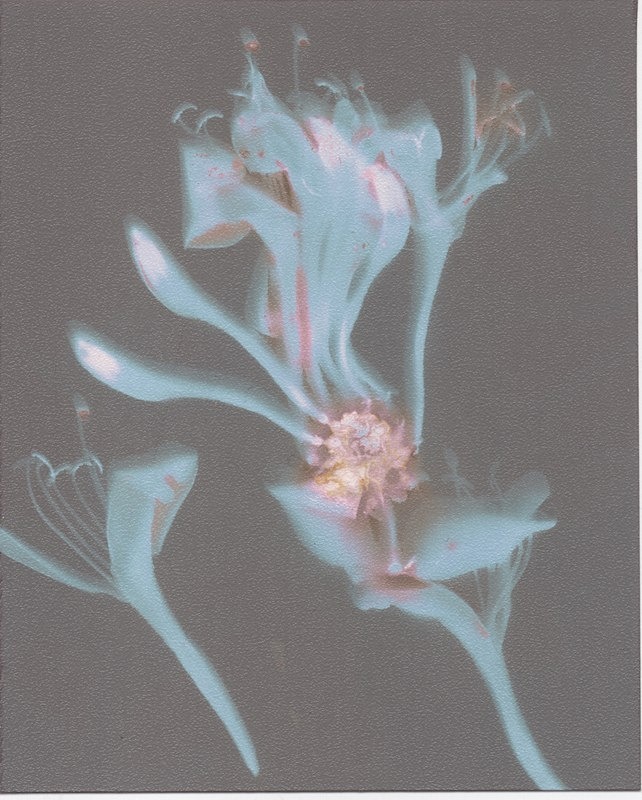  - Alternative Photography