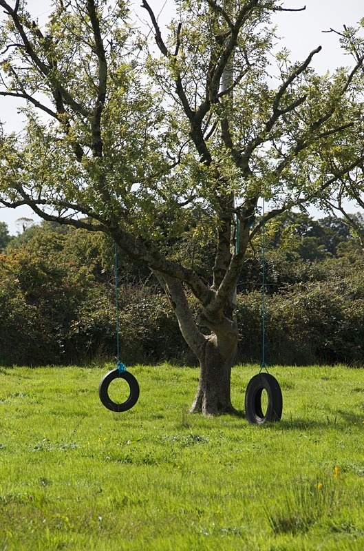  - Tyre Swings