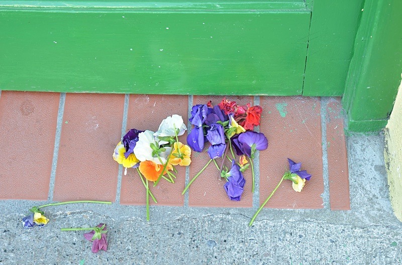  - May on our Doorstep 2011