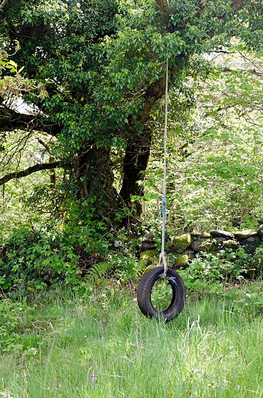  - Tyre Swings