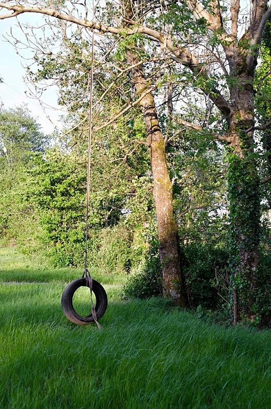  - Tyre Swings