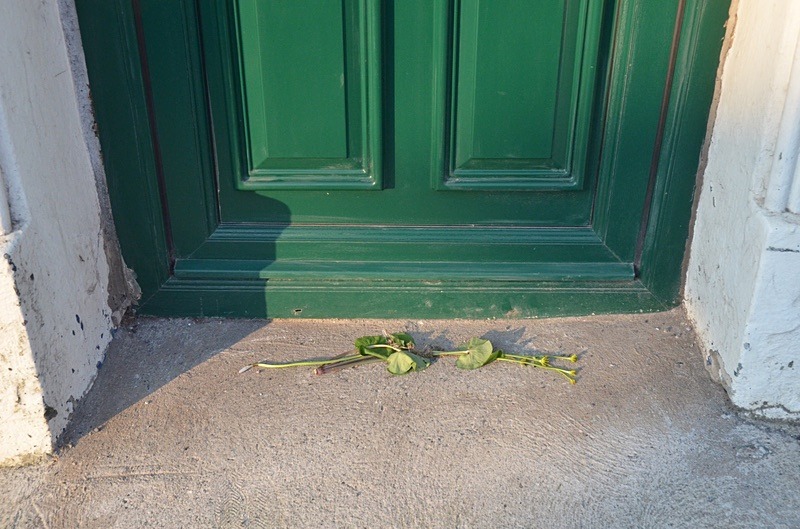  - May on our Doorstep 2011