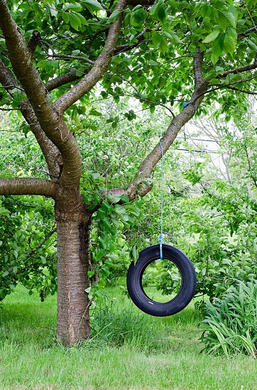  - Tyre Swings