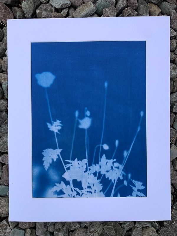 'Shadows II' One of a kind original non destructive  cyanotype - Alternative Photography