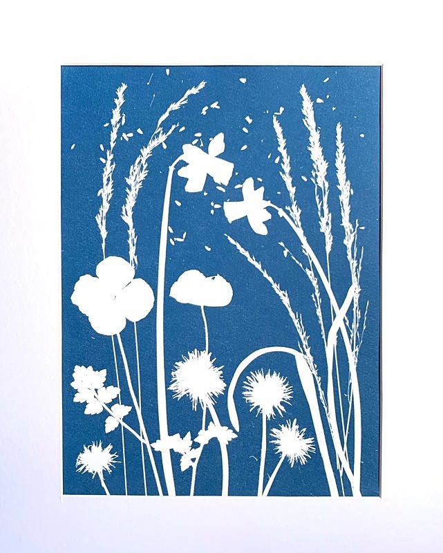 'Summer Meadow' One of a kind original cyanotype - Alternative Photography