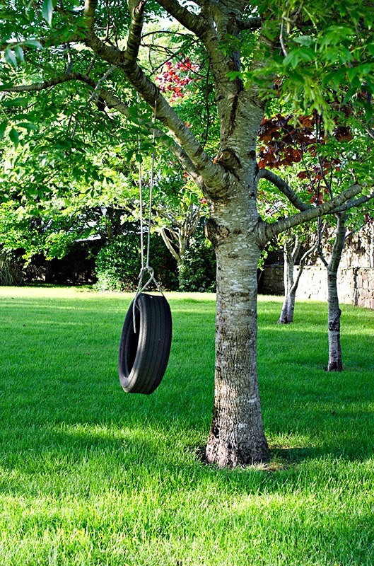  - Tyre Swings