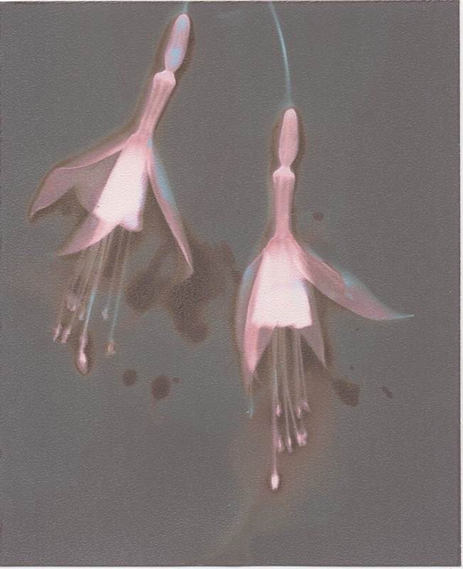  - Alternative Photography