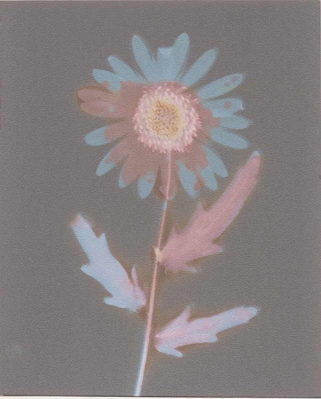  - Alternative Photography