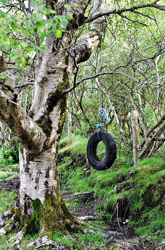  - Tyre Swings