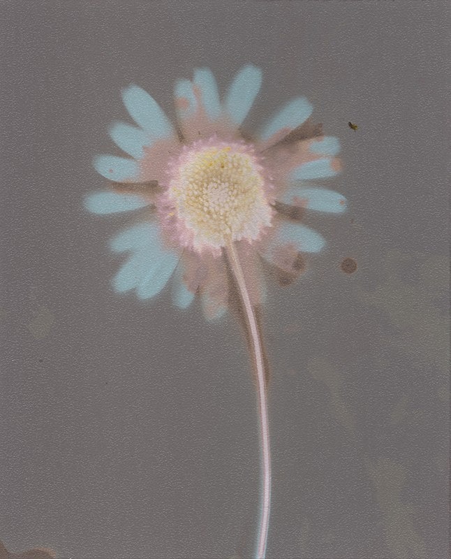  - Alternative Photography