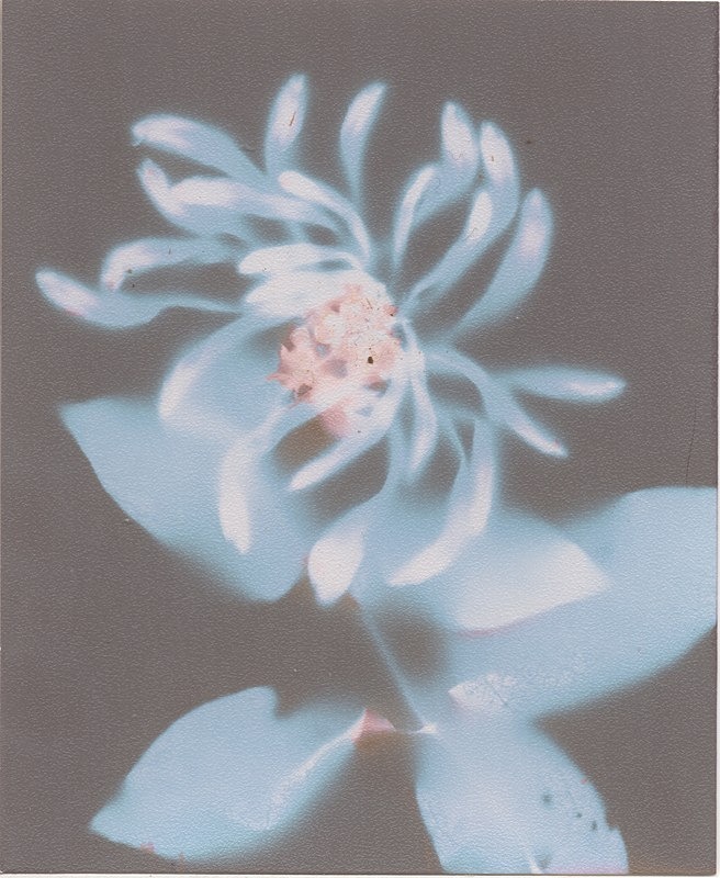  - Alternative Photography