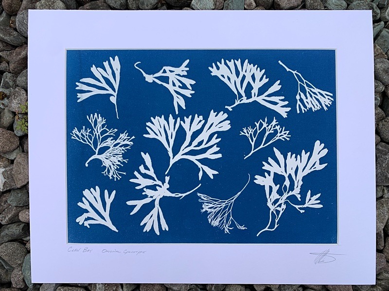 'Clew Bay'  One of a kind original cyanotype - Alternative Photography
