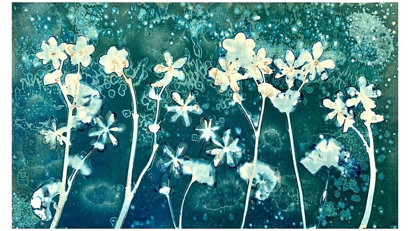  - Alternative Photography