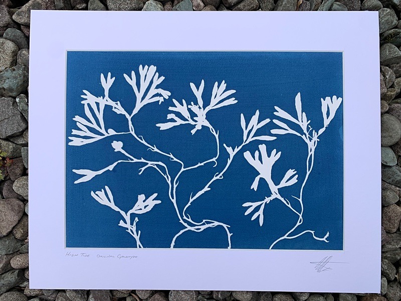 'High Tide' One of a kind original cyanotype - Alternative Photography