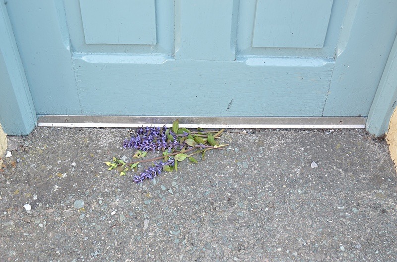  - May on our Doorstep 2011