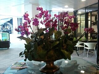 Orchid corporate - 8 - Corporate and Event Flowers