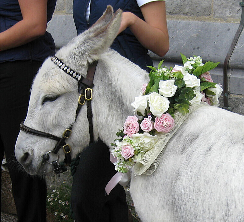 Event -32 - Corporate and Event Flowers