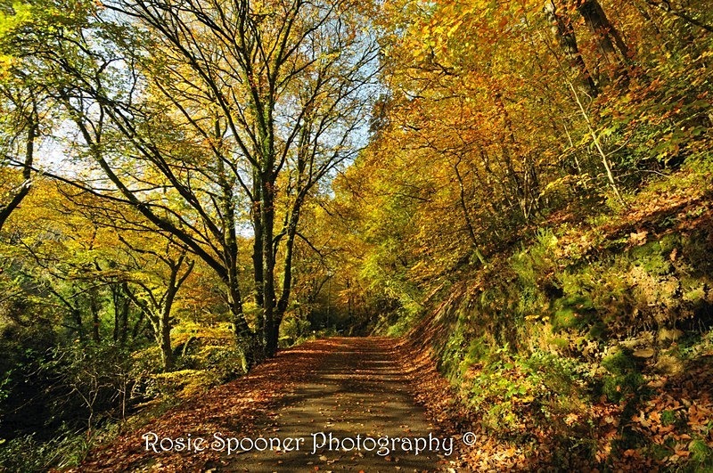  - Christmas and Autumn