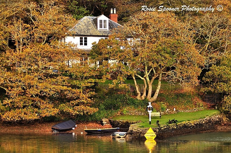  - Christmas and Autumn