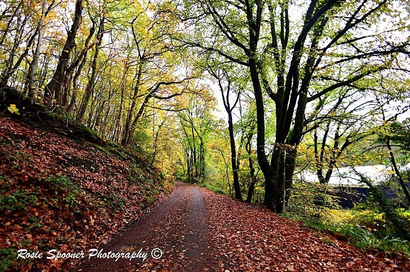  - Christmas and Autumn