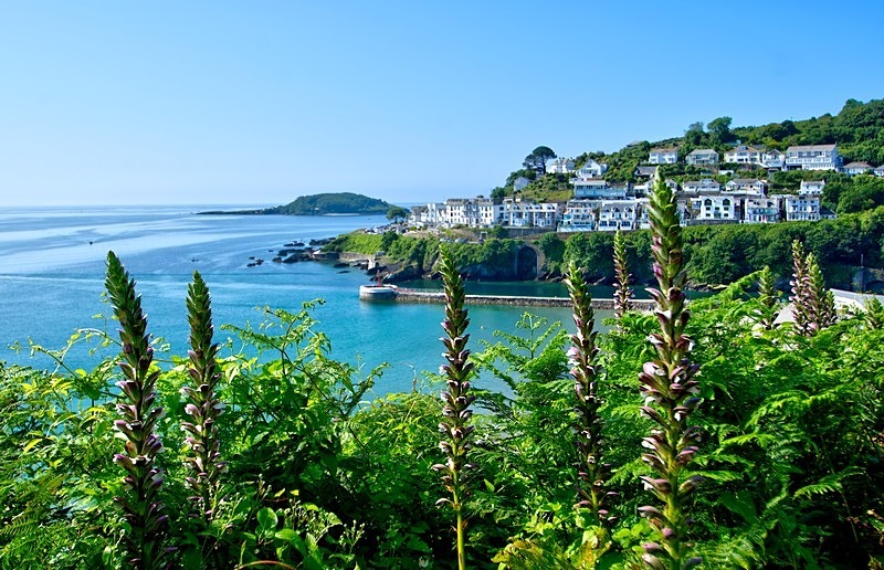 Looking down on Looe Beach from the coast path - Photos of Looe