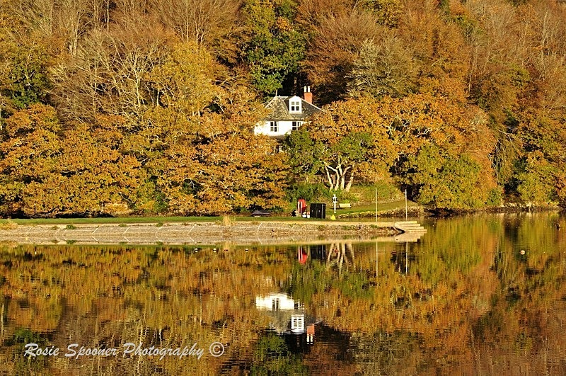  - Christmas and Autumn