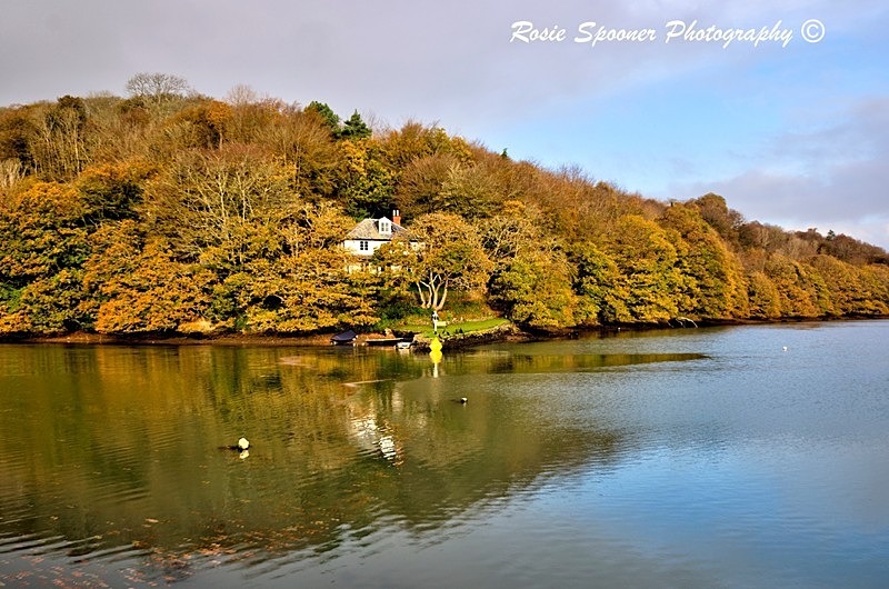 - Christmas and Autumn