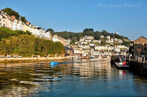 Early morning on the river Looe close to Dolphins - Photos of Looe