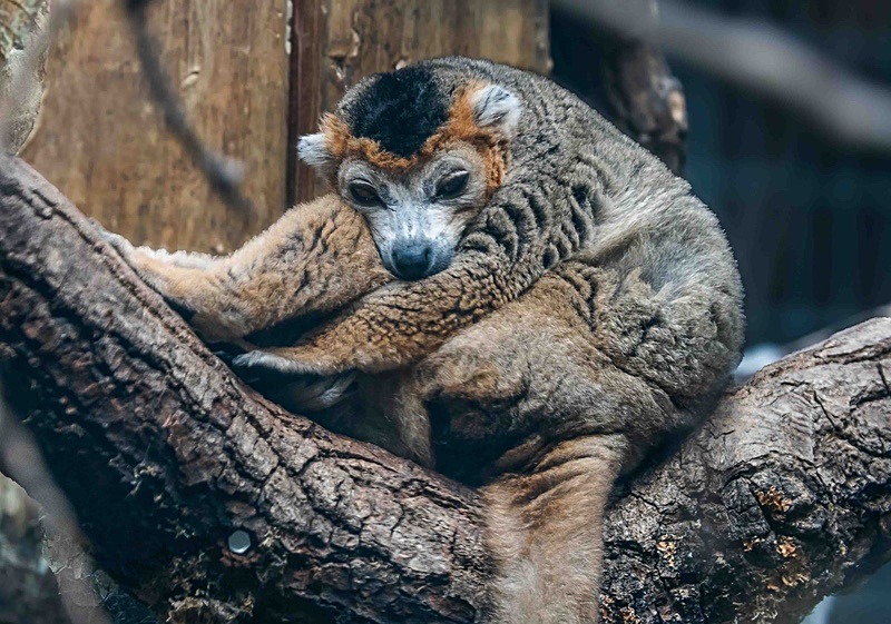  - Wildlife Photography