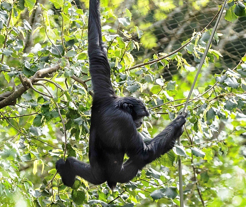  - Wildlife Photography