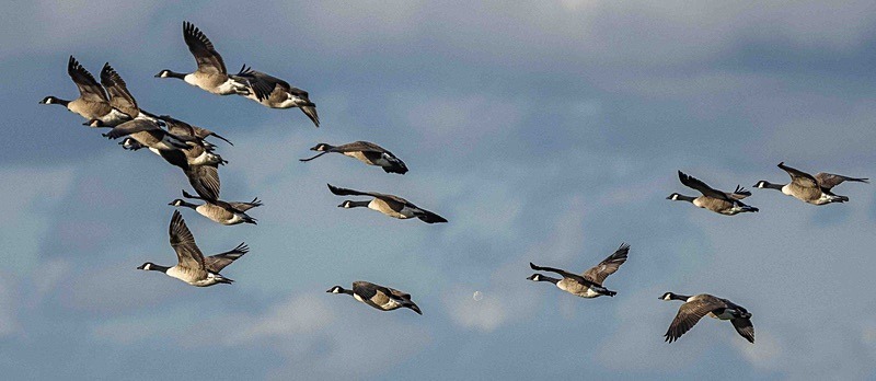  - Wildlife Photography