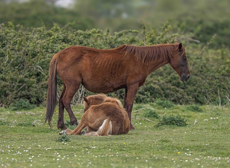  - Wildlife Photography