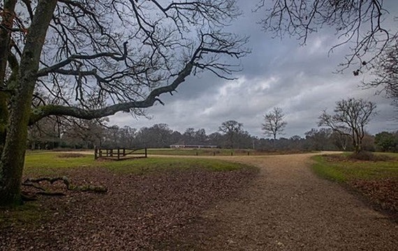  - Landscape Photography